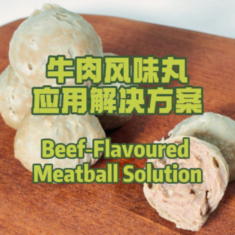 Beef-Flavoured Meatball Solution